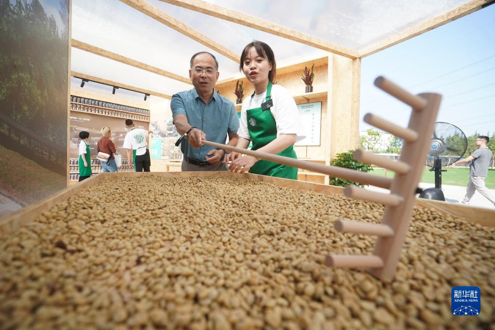 金博集团啥时返现
